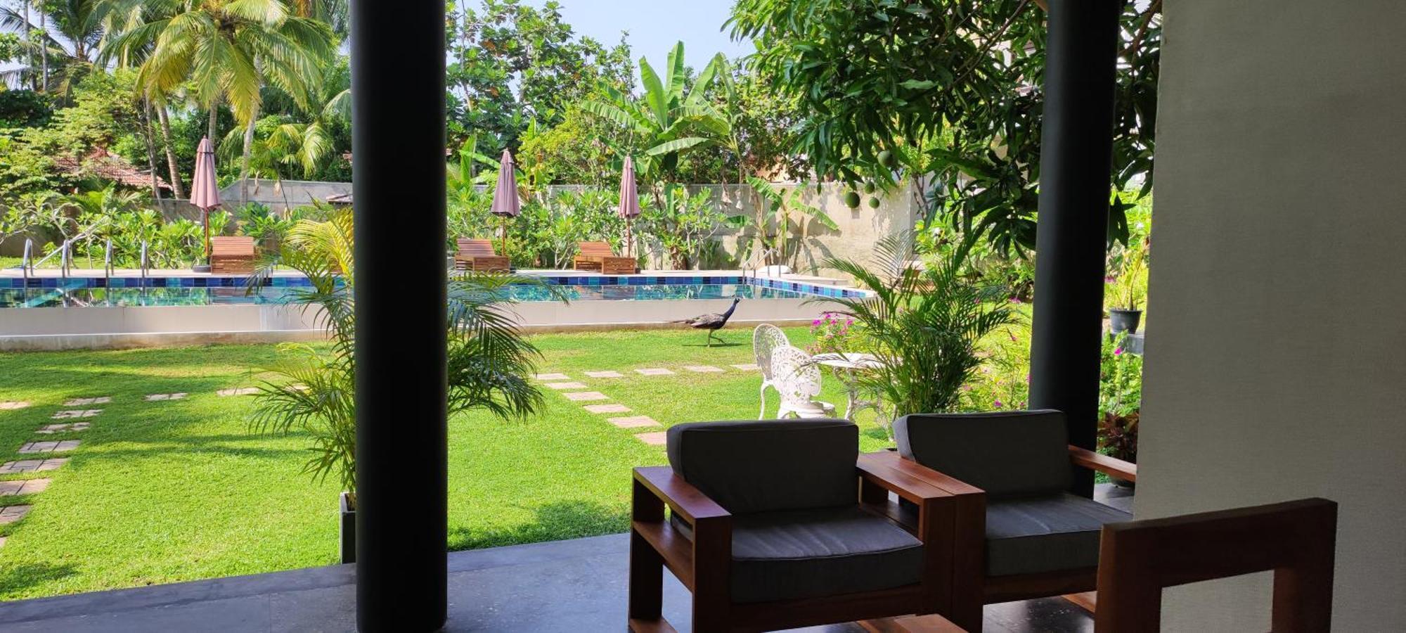 Mango Tree Villa Bentota Eksteriør billede