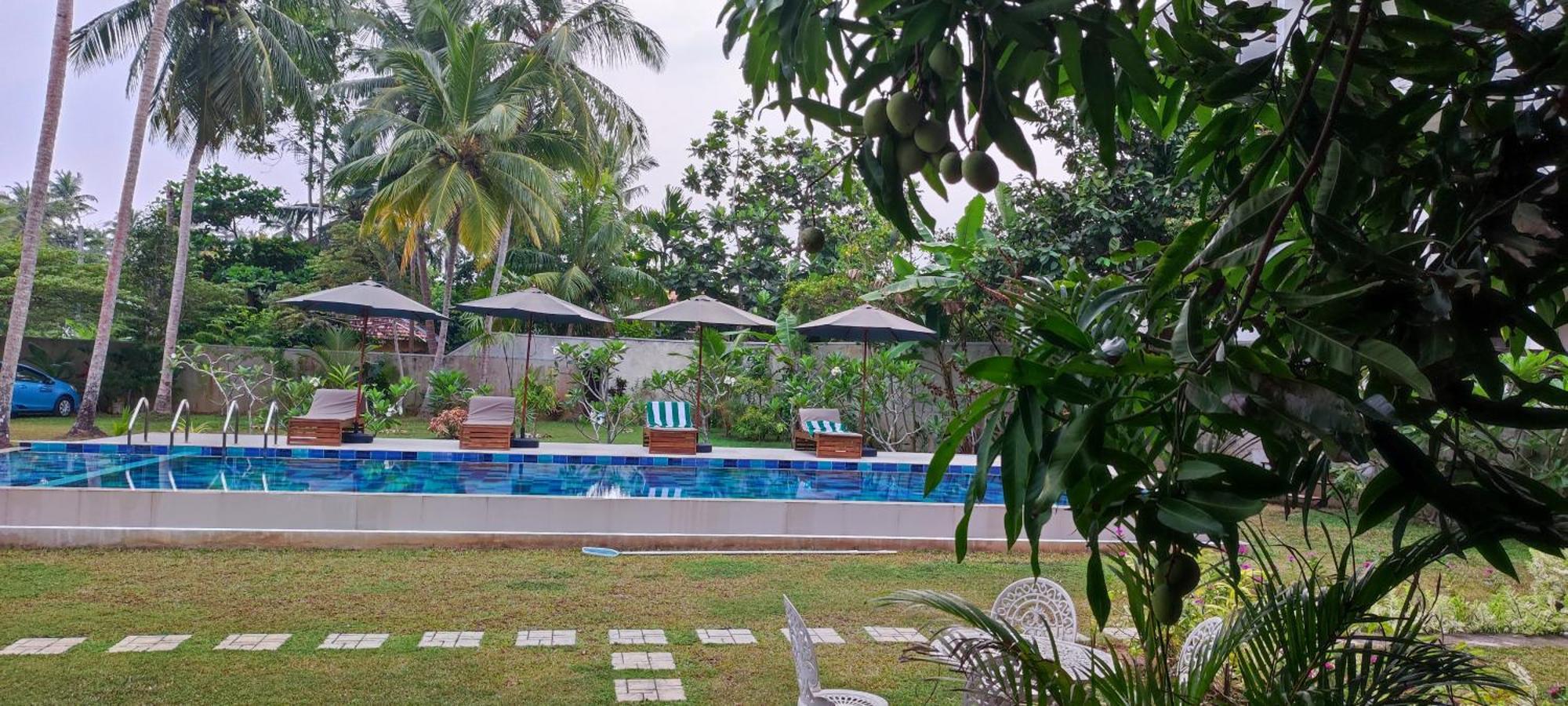 Mango Tree Villa Bentota Eksteriør billede